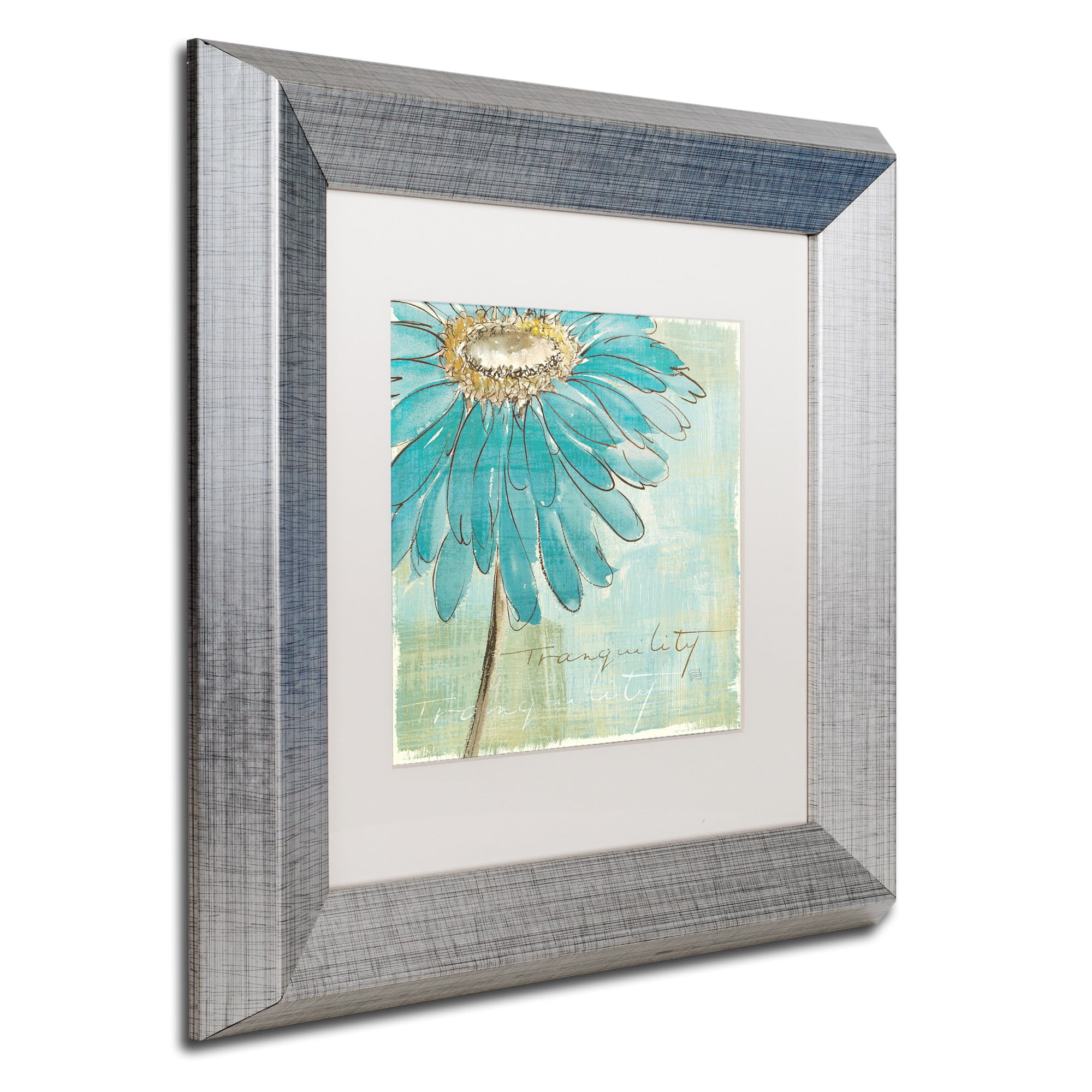 Trademark Fine Art "Spa Daisies III" Canvas Art by Chris Paschke White Matte, Silver Frame