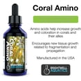 thumbnail image 2 of Complejo de aminoácidos Brightwell Aquatics CoralAmino 250 ml, 2 of 10