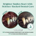 thumbnail image 5 of Pet Honesty Fresh Breath Dental Powder for Dogs for Teeth Cleaning Plaque Off, Dental Care for Dogs, Tartar Remover for Teeth with Natural Herbal Blend + Postbiotics (Mint - 30 Servings), 5 of 15