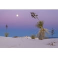 thumbnail image 2 of Illg, Cathy and Gordon 14x11 Gold Ornate Wood Framed with Double Matting Museum Art Print Titled - New Mexico, White Sands NM Moonrise over desert, 2 of 4