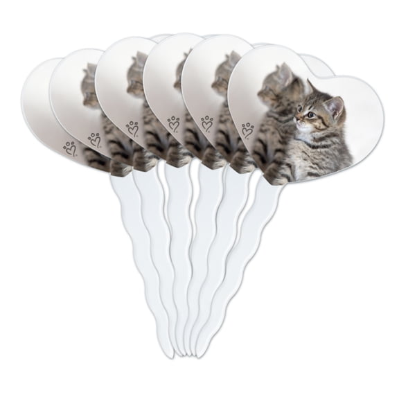 Domestic Shorthair Cats Mirror Image Heart Love Cupcake Picks Toppers Decoration Set of 6
