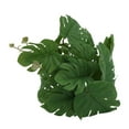thumbnail image 4 of Plastic  Leaf Rattan,  Nature Reptile Terrarium Plant Safe Bite Resistant Simulation With Suction Cup For Home Decoration For Reptile Terrarium, 4 of 8