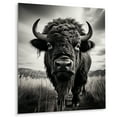 thumbnail image 2 of Designart "Bison Stories from the Grasslands" Animals Metal Wall Decor, 2 of 5