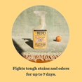 thumbnail image 3 of Antimanchas y olores para mascotas MRS. MEYER'S CLEAN DAY 480 ml, 3 of 8
