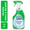 Scrubbing Bubbles Foaming Bleach Bathroom Cleaner, Trigger Bottle, Fresh Scent, 32 oz, 1 count