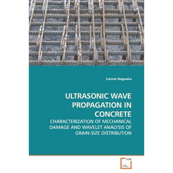 Pre-Owned Ultrasonic Wave Propagation in Concrete (Paperback)