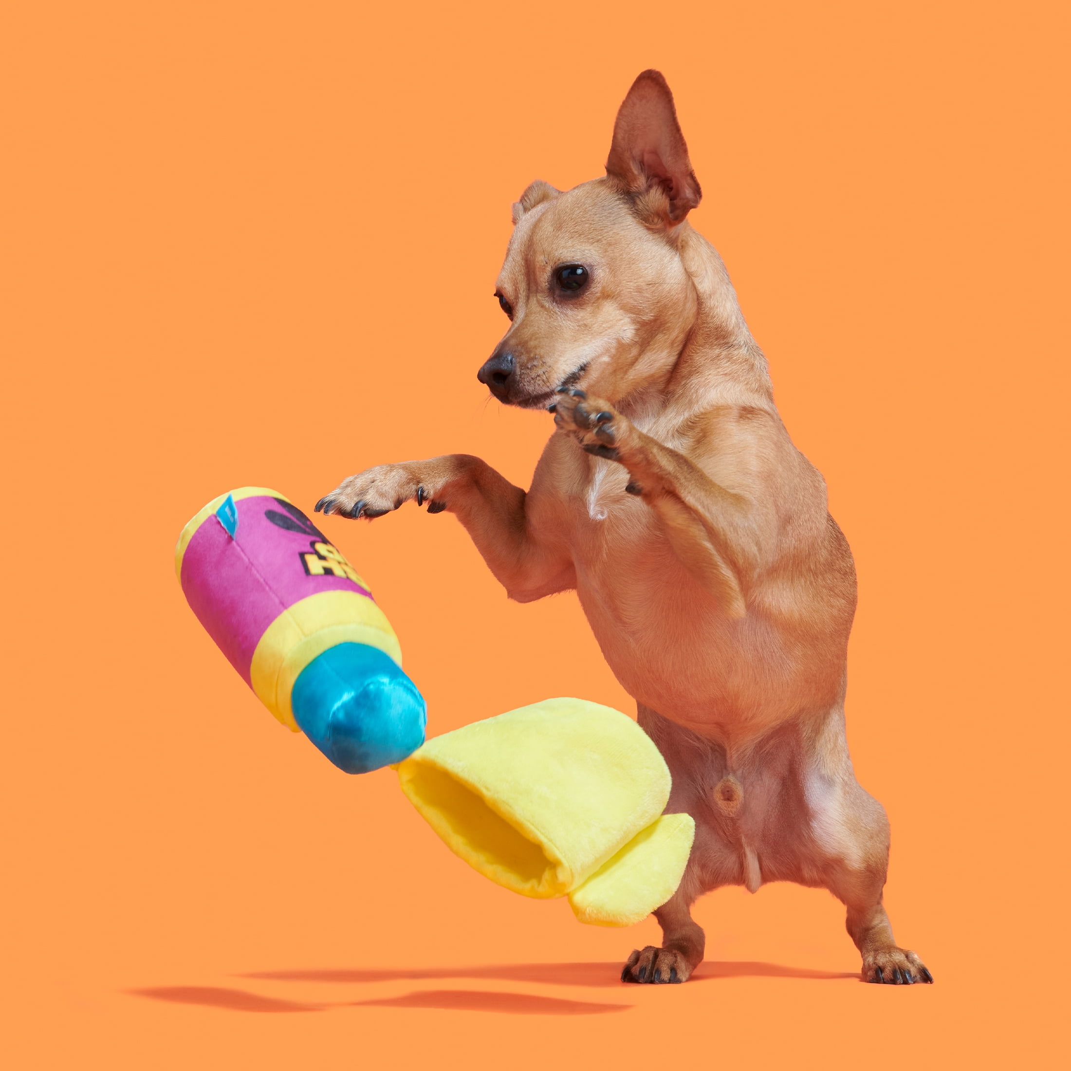 Treat Your Pup with New Dunkin'-Inspired BARK Dog Toys and “Cup for Pup”  Treats