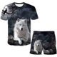 thumbnail image 1 of Nueva ropa de verano The Wolf, camiseta corta de verano, chándal para niños, trajes deportivos, disfraz de Animal para niños de 4 a 14 años, ropa 11T Gao Jinjia LED, 1 of 2
