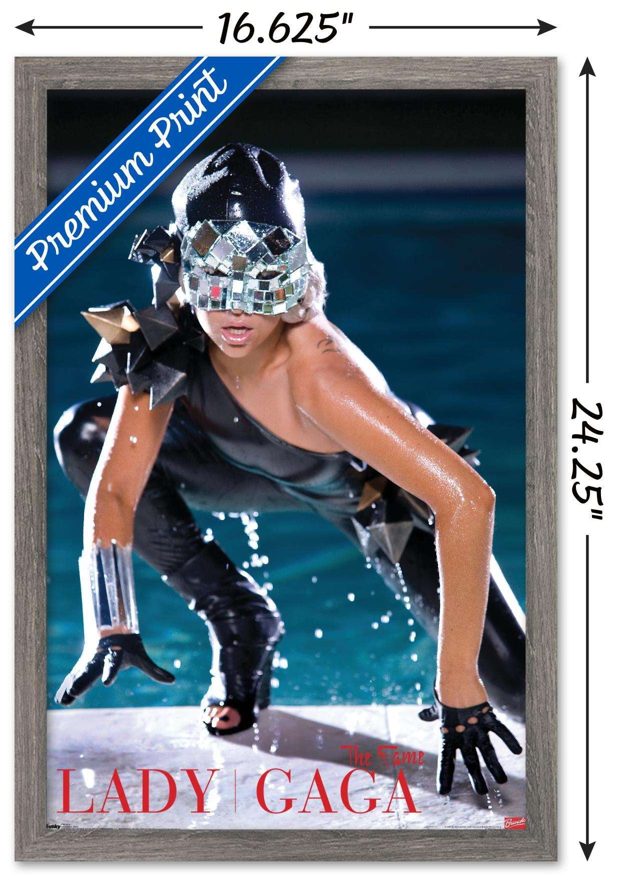 Lady Gaga - Pool Wall Poster, 22.375