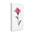 thumbnail image 2 of Trademark Fine Art 'Floral Watercolor II' Canvas Art by Kiana Mosley, 2 of 4