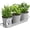 Cool Grey, variant on Indoor Herb Garden Planter Set with Tray, Metal Windowsill Plant Pots with Drainage for Outdoor or Indoor Plants, Set/3 (White)