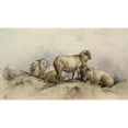 thumbnail image 2 of Anonymous 24x15 Black Ornate Framed Double Matted Museum Art Print Titled: Sheep in a Landscape (1800 - 1899), 2 of 5