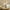 5 Flower-Gold, variant on Garwarm Flower Ceiling Fans with Lights and Remote, 24 Inch Modern Low Profile Flush Mount Ceiling Fan, Dimmable LED Ceiling Light Fixture, Small Ceiling Fans for Bedroom, Kitchen, Indoor-White