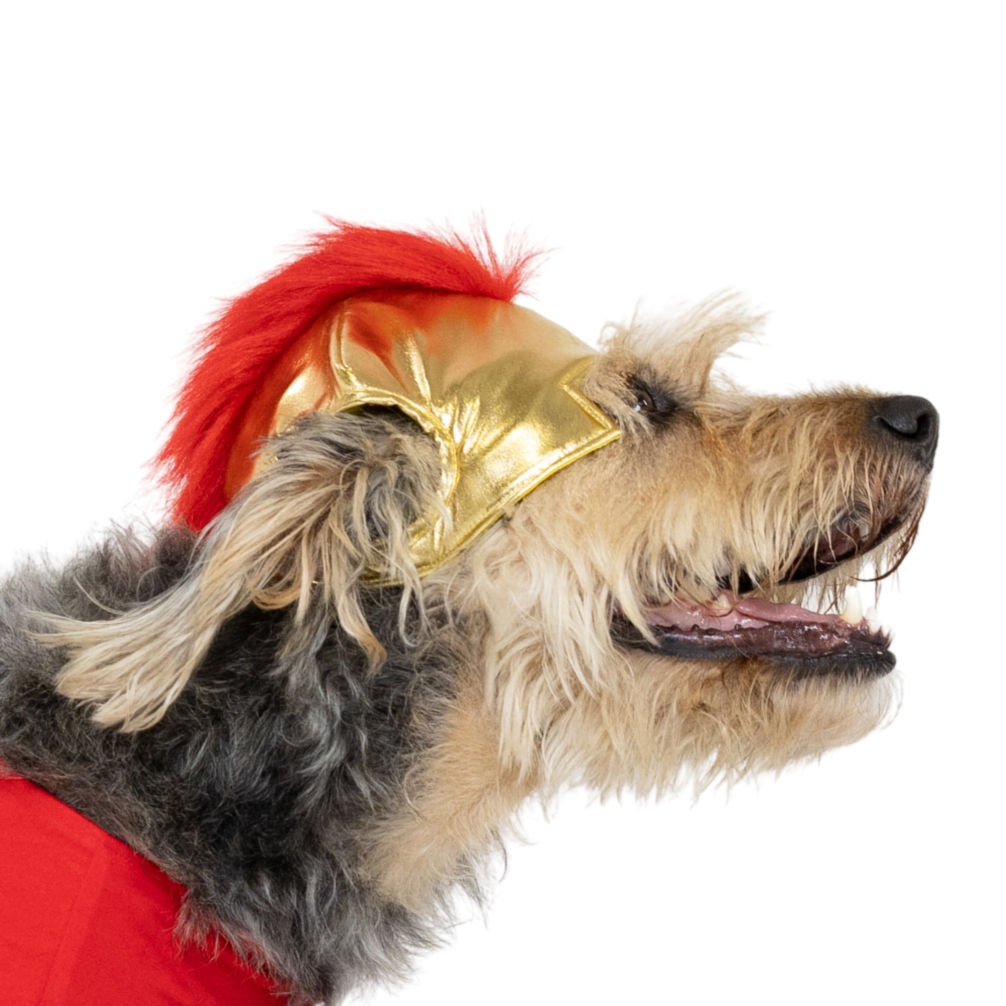 Vibrant Life Halloween Gladiator Costume for Dogs, Multicolor, Large