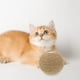 thumbnail image 5 of Juguete interactivo para gatos de interior, Bola de cuerda de Sisal con agujeros para rascar y masticar, suministros para mascotas, gatitos y gatos, 5 of 5