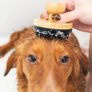 Doggy Style Bamboo Dog Bath Scrubber, Soft Rubber Bristles, Ergonomic Bamboo Handle, Bath Brush for All Breeds and Coat Types