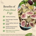 thumbnail image 3 of Bern’s Farm Freeze-Dried Figs Bags of 4-0.53 oz Each Healthy Gluten-Free Crispy & Delicious Ideal for School Lunches or Snacking Straight from the Bag, 3 of 8