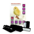 thumbnail image 1 of American Educational Products Chicken Embryo - Class Set Kit, 1 of 1