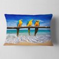 thumbnail image 2 of Designart Blue Gold Macaws at Beach - Seashore Photo Throw Pillow - 12x20, 2 of 5