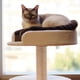 thumbnail image 2 of Poste rascador para gato con cuerda de yute, rascador con garra para gato, poste rascador para gatito, gato de interior, 2 of 8