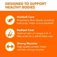thumbnail image 5 of Iams Proactive With Real Chicken & Salmon Health Long Hair Care Adult Dry Cat Food, 6 Lb Bag, 5 of 11