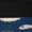 3 Black, variant on Sea Creatures Print Adult Socks, Crew Moisture-wicking Socks, Unisex Cushion Crew Socks,Casual Sports Ankle Socks
