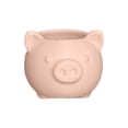 thumbnail image 2 of VAIFTILNO Pig Planter Pot, Cute Succulents Pot with Drainage Hole for Indoor, Outdoor Plants, Home Decor Gift (More Colors), 2 of 6