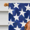 thumbnail image 3 of Carolines Treasures CK6676CHF Rhodesian Ridgeback Dog American Canvas House Flag - 28 x 0.01 x 40 in., 3 of 4