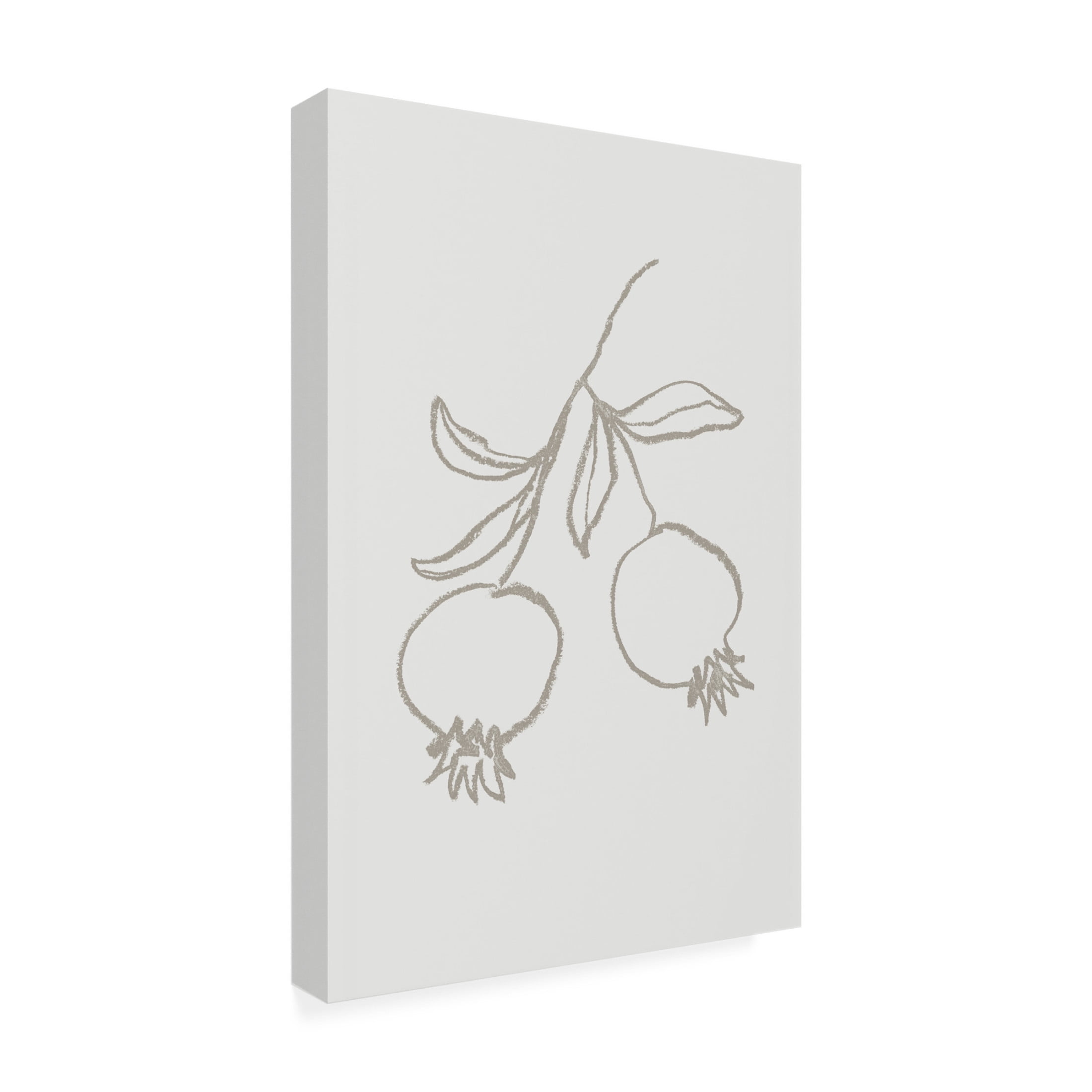 Trademark Fine Art Pictufy Studio Pomegranate Green Canvas Wall Art