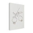 thumbnail image 4 of Trademark Fine Art Pictufy Studio Pomegranate Green Canvas Wall Art, 4 of 4