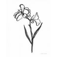 thumbnail image 2 of Miller, Sara Zieve 20x24 White Modern Wood Framed Museum Art Print Titled - Ink Flower II, 2 of 4
