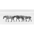 thumbnail image 2 of Curinga, Kim 24x13 White Modern Wood Framed Museum Art Print Titled - Beach Horse Trio, 2 of 4
