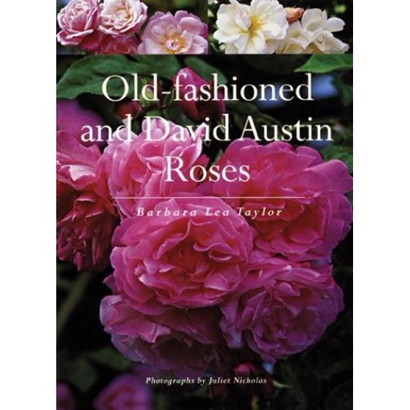 Pre-Owned Old-Fashioned and David Austin Roses (Hardcover) by Barbara Taylor, Juliet Nicholas