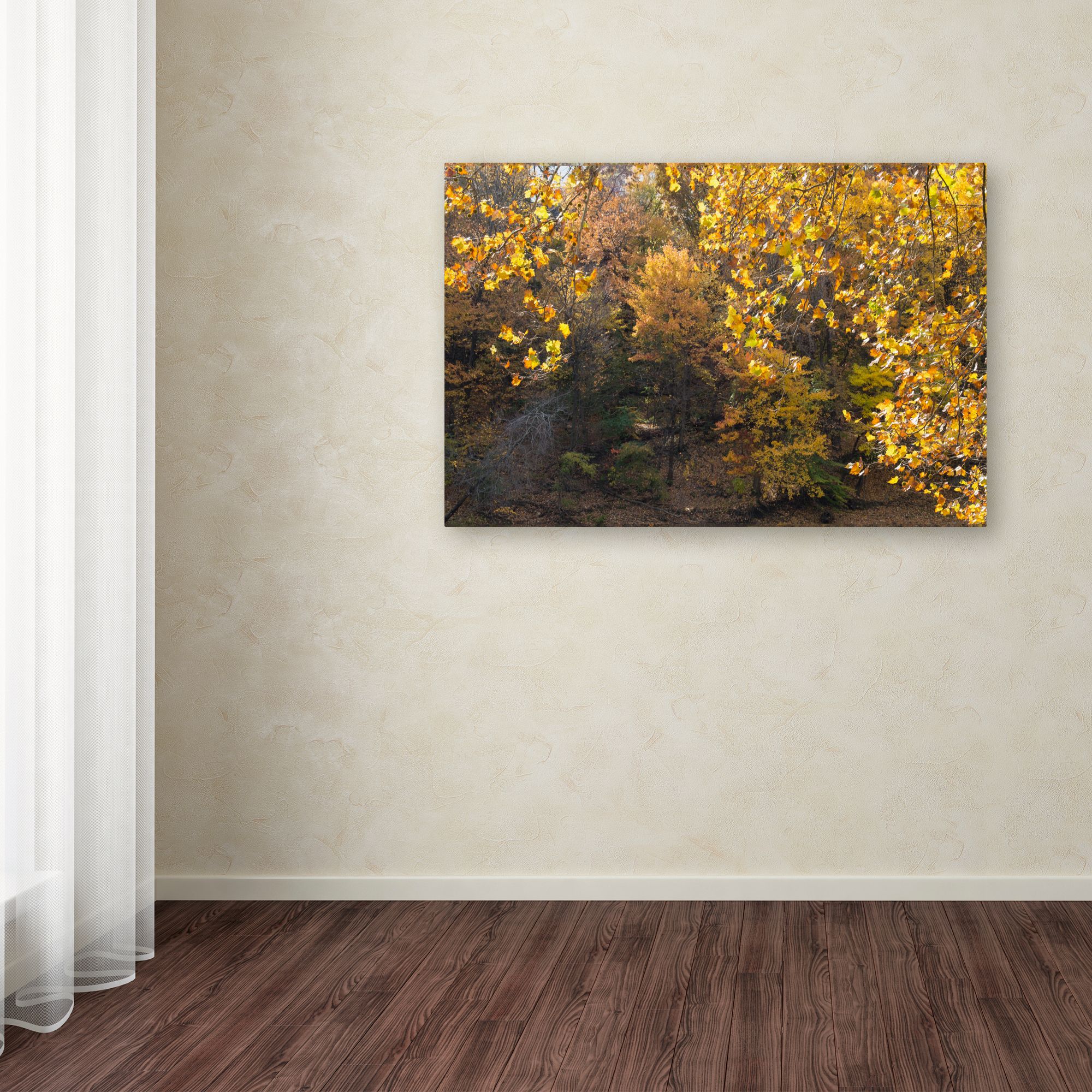 Trademark Fine Art "Golden Autumn 2" Canvas Art by Kurt Shaffer