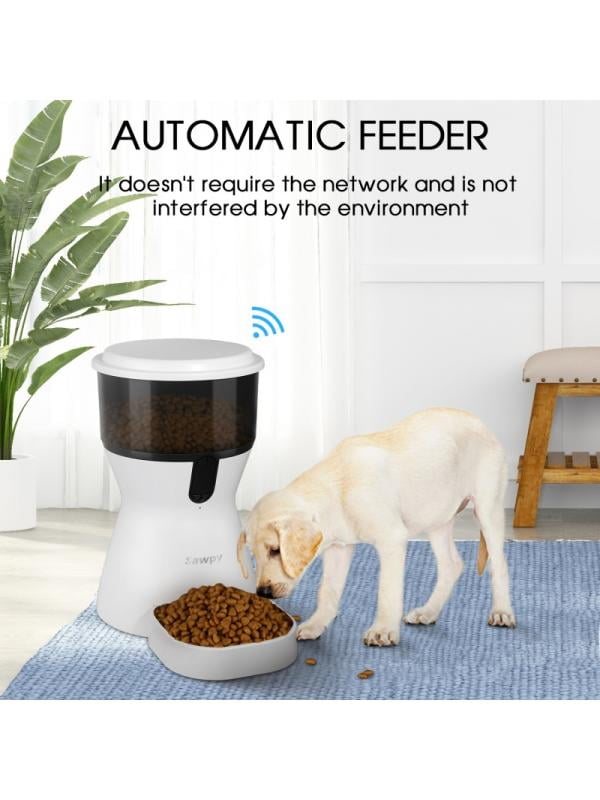 kitten supplies walmart