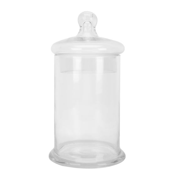 MLINS 1Pc Decorative Candy Container Glass Jar for Exquisite Storage Tank Transparent