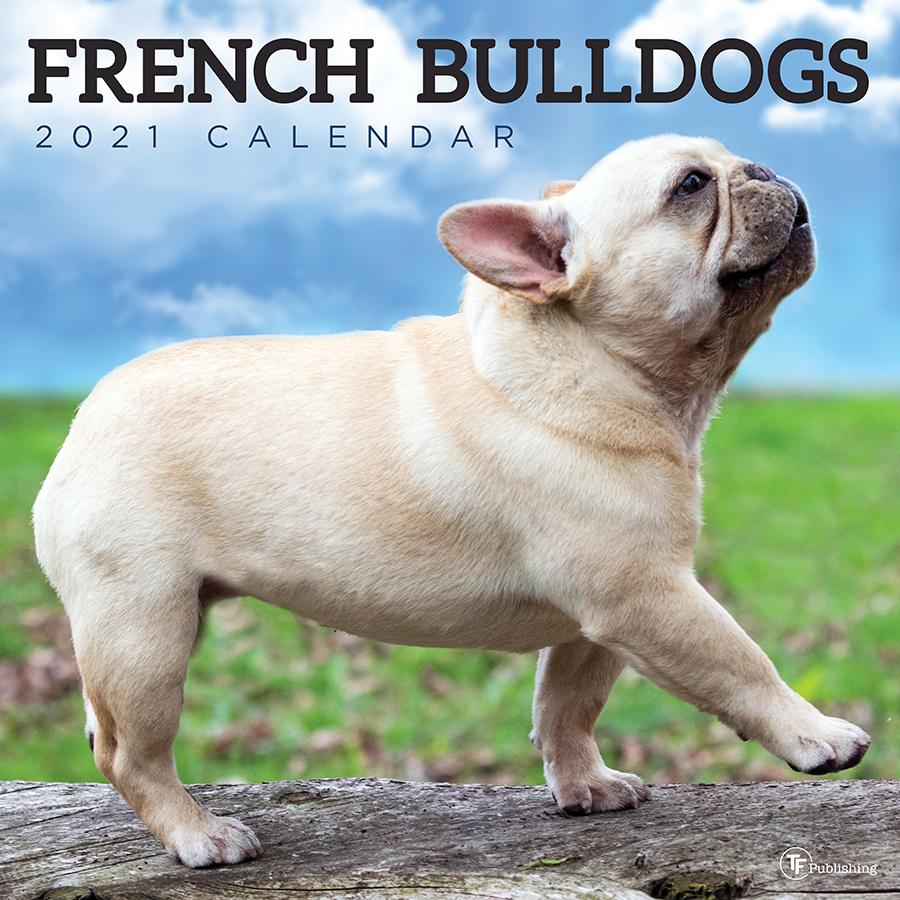 2021 French Bulldogs 12"x12" Wall Calendar - Walmart.com ...