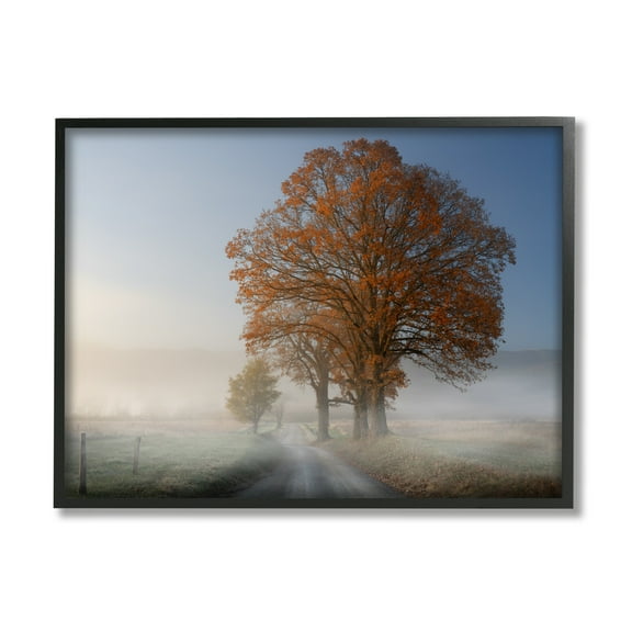 Stupell Foggy Road Sycamore Tree Landscape Photography Black Framed Art Print Wall Art