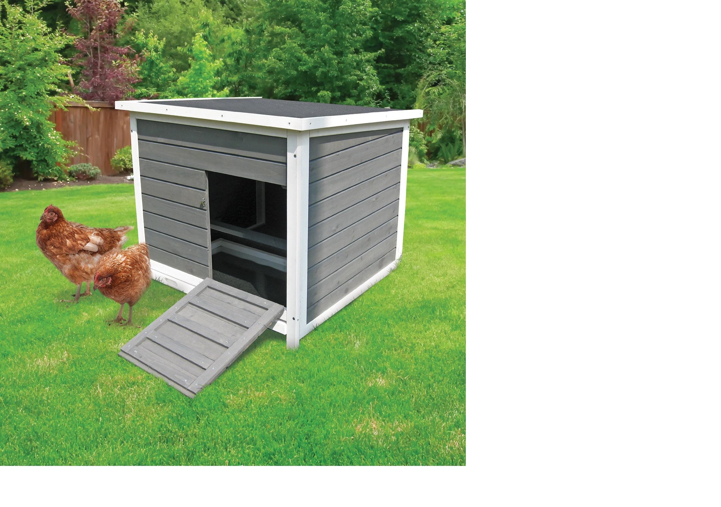 Coops & Feathers Chicken Nesting & Roosting Box