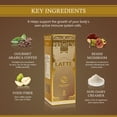 thumbnail image 4 of ORGANO Gourmet Cafe Latte,100% Certified Ganoderma Lucidum (1 Box of 20 Sachets), 4 of 5