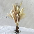 thumbnail image 1 of 75 piezas: 20 piezas de pampa blanca y 20 piezas de pampa marrón y 35 piezas de caña/hierba de pampa seca natural para arreglos florales., 1 of 4