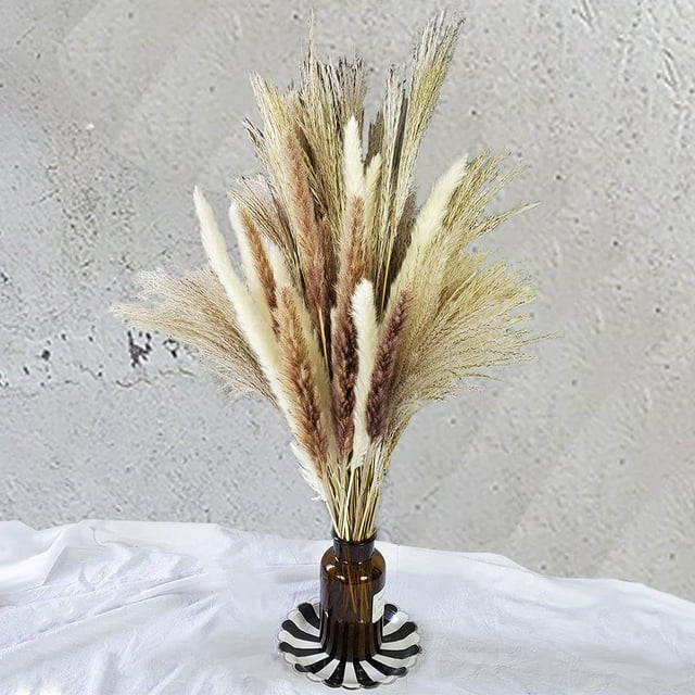 75 piezas: 20 piezas de pampa blanca y 20 piezas de pampa marrón y 35 piezas de caña/hierba de pampa seca natural para arreglos florales.