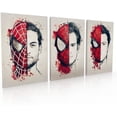 thumbnail image 1 of Cuadro Decorativo Decogaleria Spiderman, 1 of 3