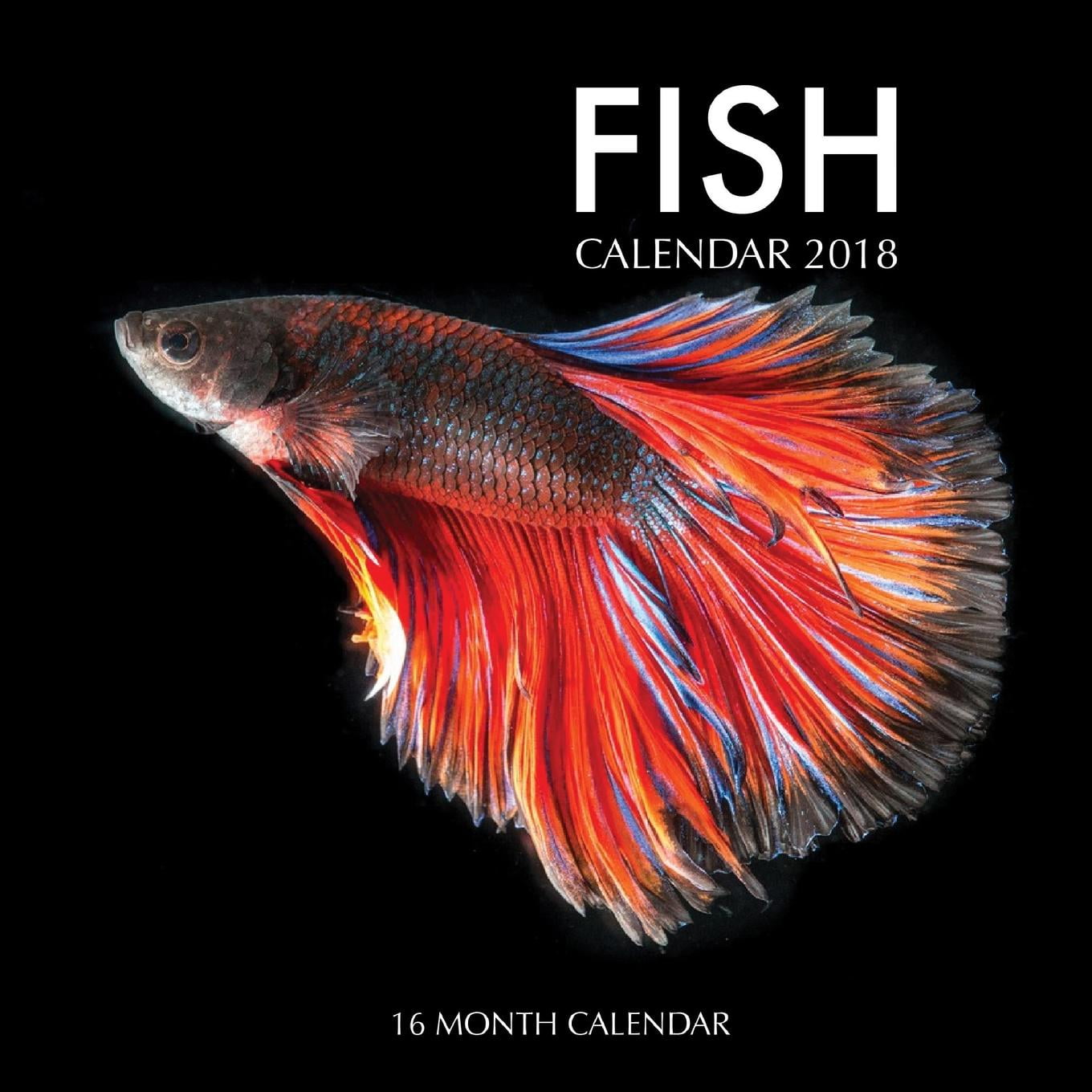 Fish Calendar 2018 16 Month Calendar (Paperback)