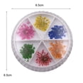 thumbnail image 5 of UDIYO 12Pcs/Set Nail Flower Decoration 3D Beautify Fingers Various Colors Dried Flower Nail Decoration Natural Floral Sticker for Female, 5 of 7