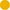 Mustard, variant on Essential Basic Scoop Neck Short Sleeve Tee for Women Tshirt -Plus, Charcoal, 2XL