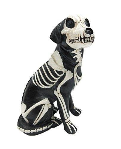 dia de los muertos costume for dogs