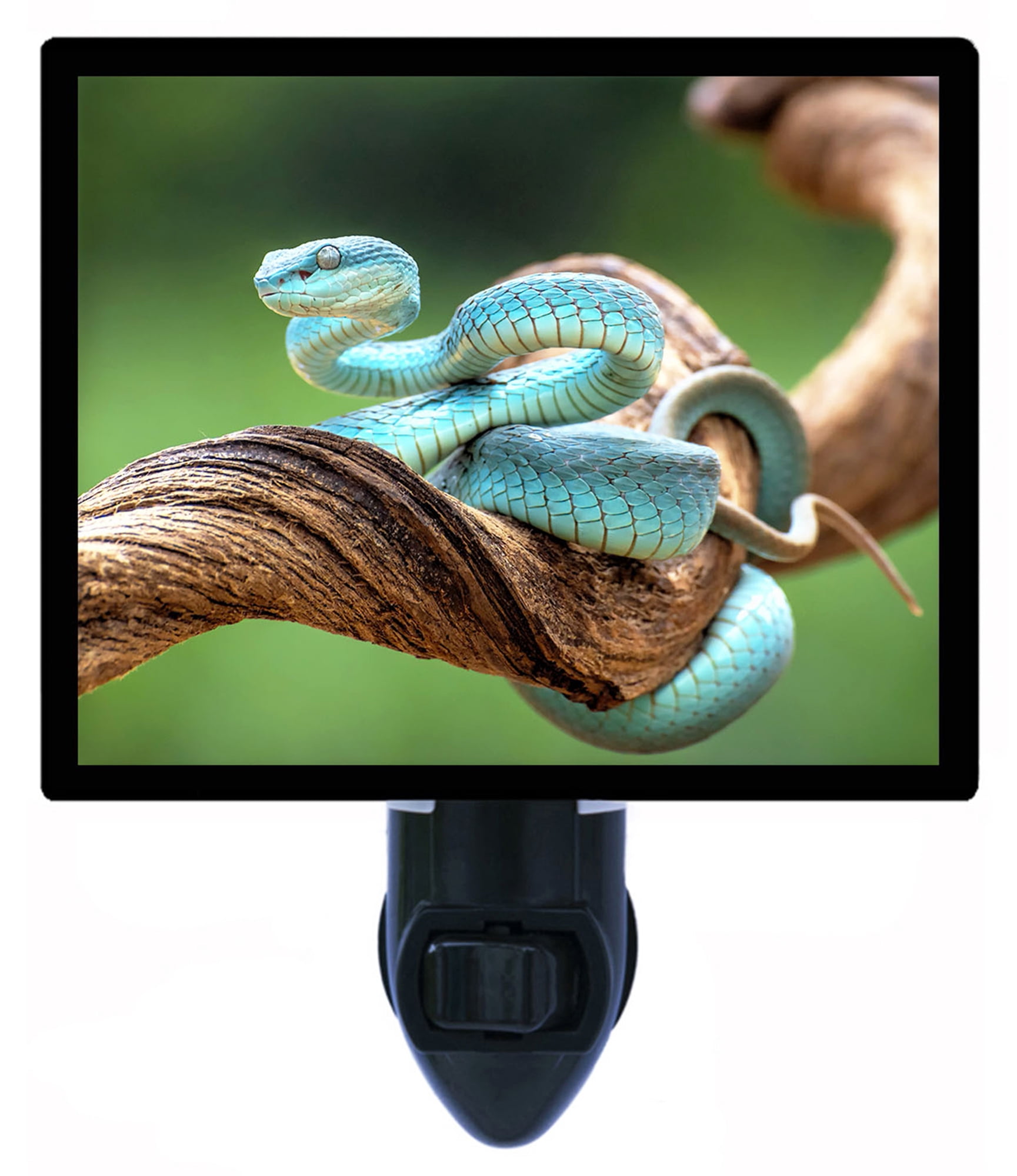 snake night light
