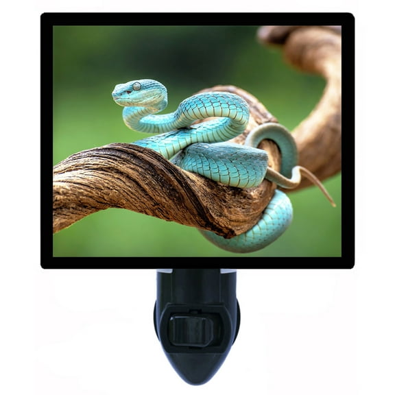 Night Light - Blue Viper Snake. | Snake Theme, Includes Free Switchable Insert, 4W Bulb, E12 Base