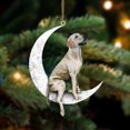 thumbnail image 1 of Perros Colgantes Colgantes Para Árboles De Navidad Decoraciones Para Perros Para Mascotas Colgantes Para Colgar En Ventanas O Puertas Advancent HA042685-10, 1 of 6